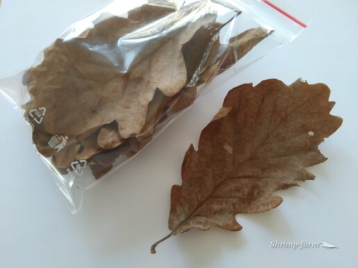 Sušené dubové listy
