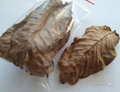 Sušené orechové listy
