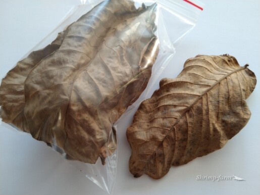 Sušené orechové listy